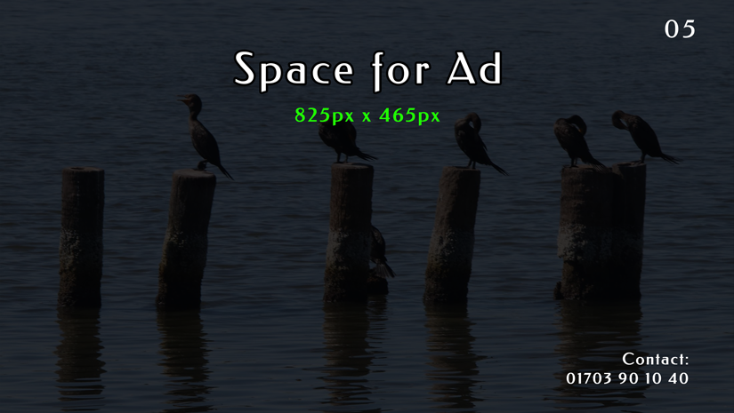 Log In Page Ad_5